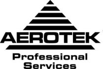 AEROTEK PROFESSIONAL SERVICES