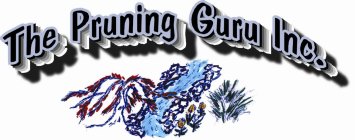 THE PRUNING GURU INC.