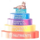 ANTI-OXIDANTS VITAMINS & MINERALS ESSENTIAL FATTY ACIDS PROTEINS & CARBS 50 NUTRIENTS