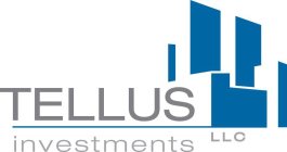 TELLUS INVESTMENTS LLC