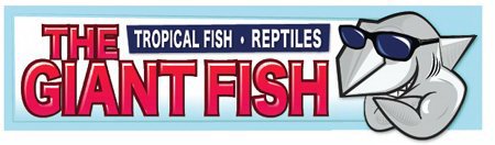 THE GIANT FISH TROPICAL FISH · REPTILES
