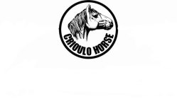 CRIOULO HORSE