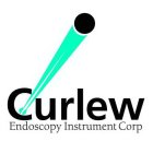 CURLEW ENDOSCOPY INSTRUMENT CORP