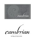 CAMBRIAN STRATEGIES