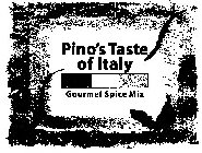 PINO'S TASTE OF ITALY GOURMET SPICE MIX