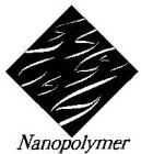NANOPOLYMER