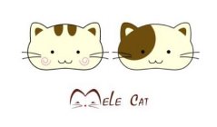 MELE CAT