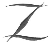 Z