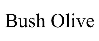 BUSH OLIVE
