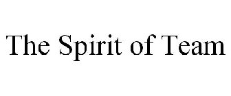 THE SPIRIT OF TEAM