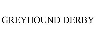 GREYHOUND DERBY