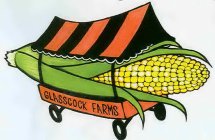 GLASSCOCK FARMS
