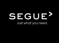SEGUE> JUST WHAT YOU NEED.