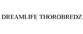 DREAMLIFE THOROBREDZ