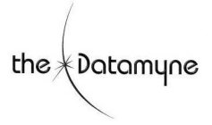 THE DATAMYNE