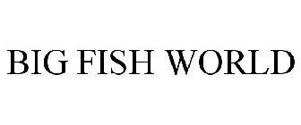 BIG FISH WORLD