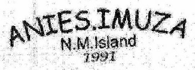 ANIES.IMUZA N.M.ISLAND 1991