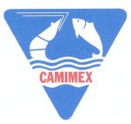 CAMIMEX