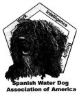 WORK INTELLIGENCE BEAUTY SPANISH WATER DOG ASSOCIATION OF AMERICA
