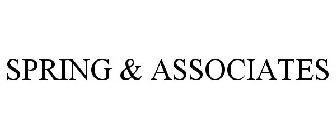 SPRING & ASSOCIATES