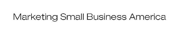 MARKETING SMALL BUSINESS AMERICA