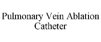 PULMONARY VEIN ABLATION CATHETER