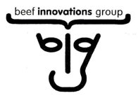 BEEF INNOVATIONS GROUP