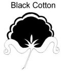 BLACK COTTON