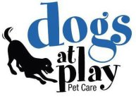 DOGS AT PLAY PET CARE