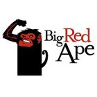 BIG RED APE