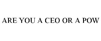ARE YOU A CEO OR A POW