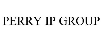 PERRY IP GROUP