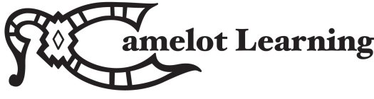 CAMELOT LEARNING PLUS STYLIZED 