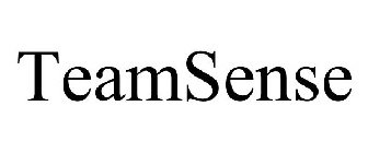 TEAMSENSE