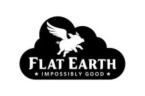 FLAT EARTH IMPOSSIBLY GOOD