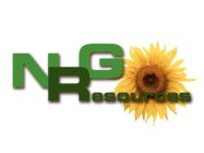 NRG RESOURCES