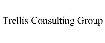 TRELLIS CONSULTING GROUP