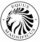 EQUUS MAGNIFICUS