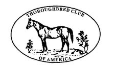 THOROUGHBRED CLUB OF AMERICA