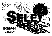 BORREGO VALLEY SELEY REDS