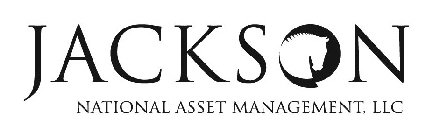 JACKSON NATIONAL ASSET MANAGEMENT, LLC