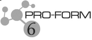 PRO-FORM 6