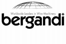 BERGANDI WORLDWIDE LEADERS IN WIRE MACHINERY