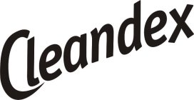 CLEANDEX