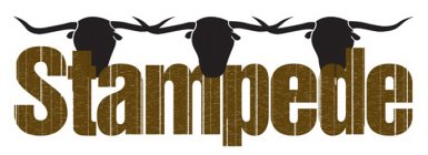 STAMPEDE
