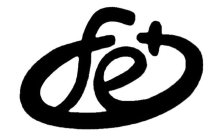 FE