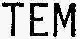 TEM