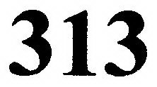 313