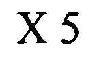 X 5