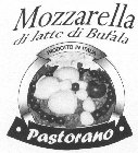 MOZZARELLA DI LATTE DI BUFALA PASTORANO PRODOTTO IN ITALIA